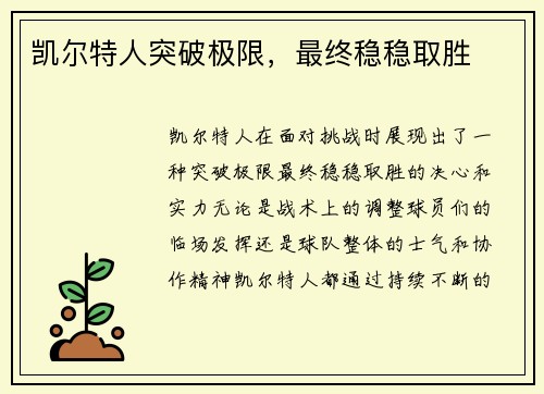 凯尔特人突破极限，最终稳稳取胜