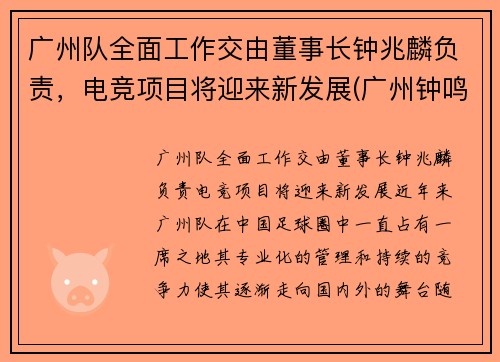 广州队全面工作交由董事长钟兆麟负责，电竞项目将迎来新发展(广州钟鸣简历)