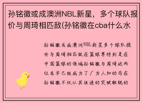 孙铭徽或成澳洲NBL新星，多个球队报价与周琦相匹敌(孙铭徽在cba什么水平)