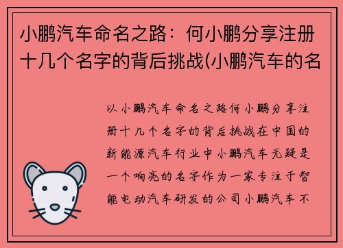 小鹏汽车命名之路：何小鹏分享注册十几个名字的背后挑战(小鹏汽车的名字怎么取得)