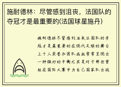 施耐德林：尽管感到沮丧，法国队的夺冠才是最重要的(法国球星施丹)